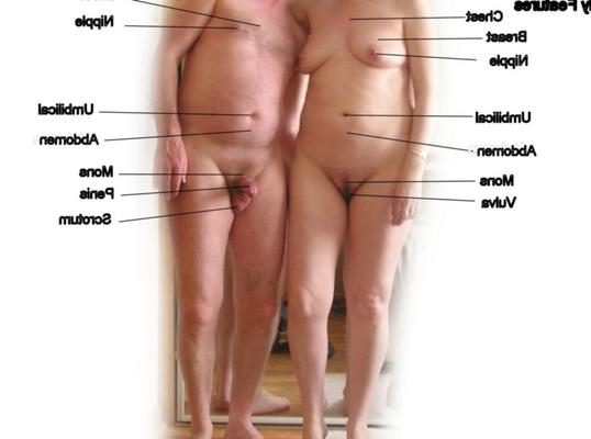Male and Female Anatomy Instructional Pictures