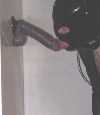 Imagens Maulvotzen Training der Pimmelstute