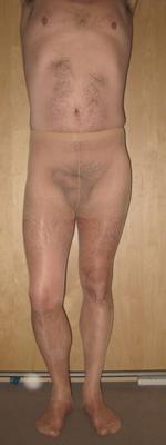 chiffon sheen tights