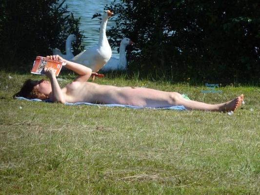 Lesen macht Spaß Damental, Vol.