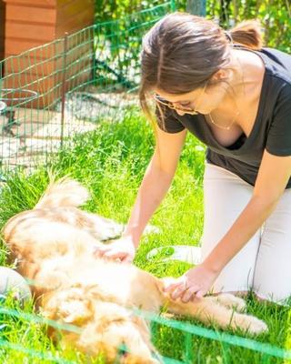 Sexy women with dogs #