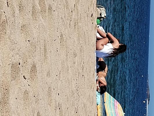 Coquines a la plage de frejus