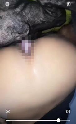 Pequeña Mascota