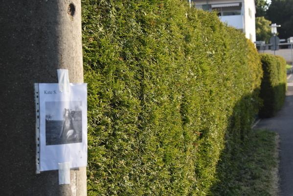 Kate exposed in my neighbourhood
